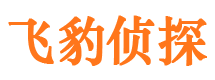 建宁市调查公司